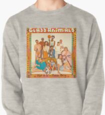 Glass Animals - album cover Pullover Sweatshirt