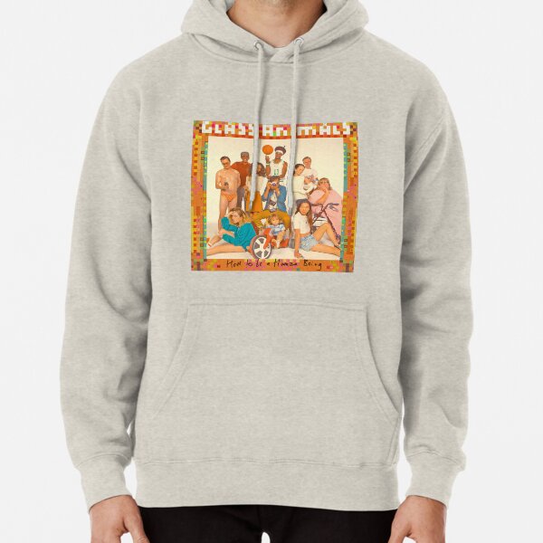 Glass Animals - album cover Pullover Hoodie