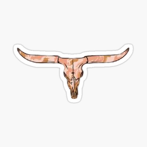 Hook'em Horns State of Texas Bull Head with Longhorns Design Pullover Hoodie