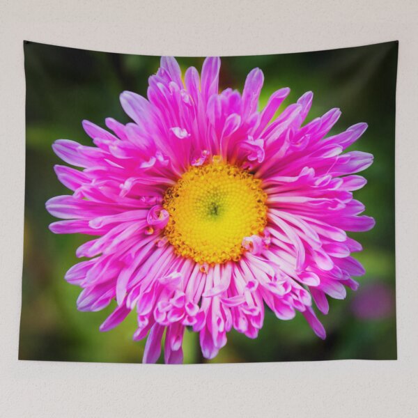 Item preview, Aster designed and sold by JEZ22.