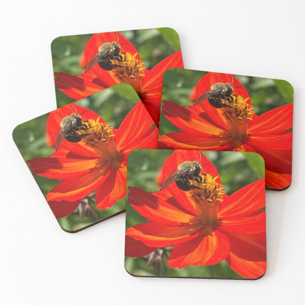 Item preview, Sentirse seguro con nuestros polinizadores designed and sold by TherapeuticNest.