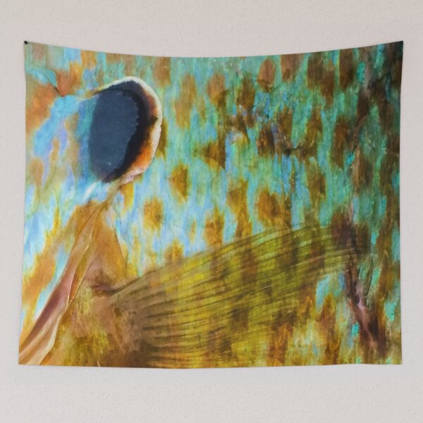 Item preview, Pumpkinssed Sunfish Skin Pattern designed and sold by CJRPics.