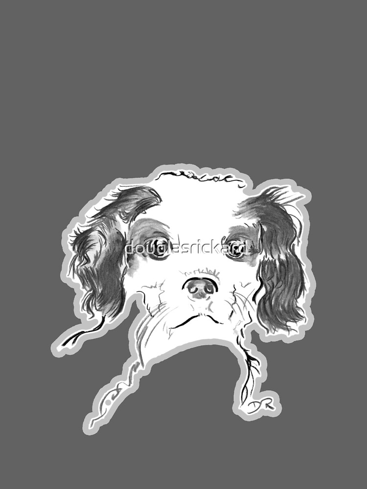 Cavalier King Charles Spaniel Puppy Drawing by douglasrickard