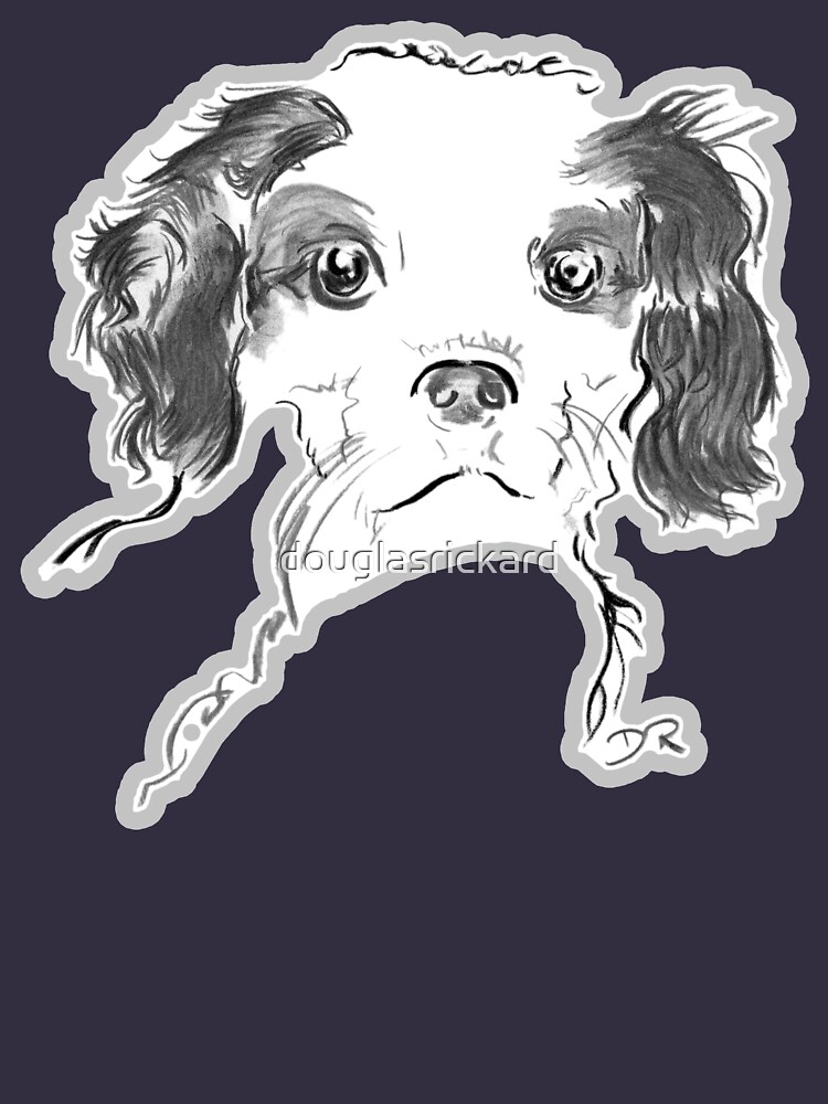 Cavalier King Charles Spaniel Puppy Drawing by douglasrickard