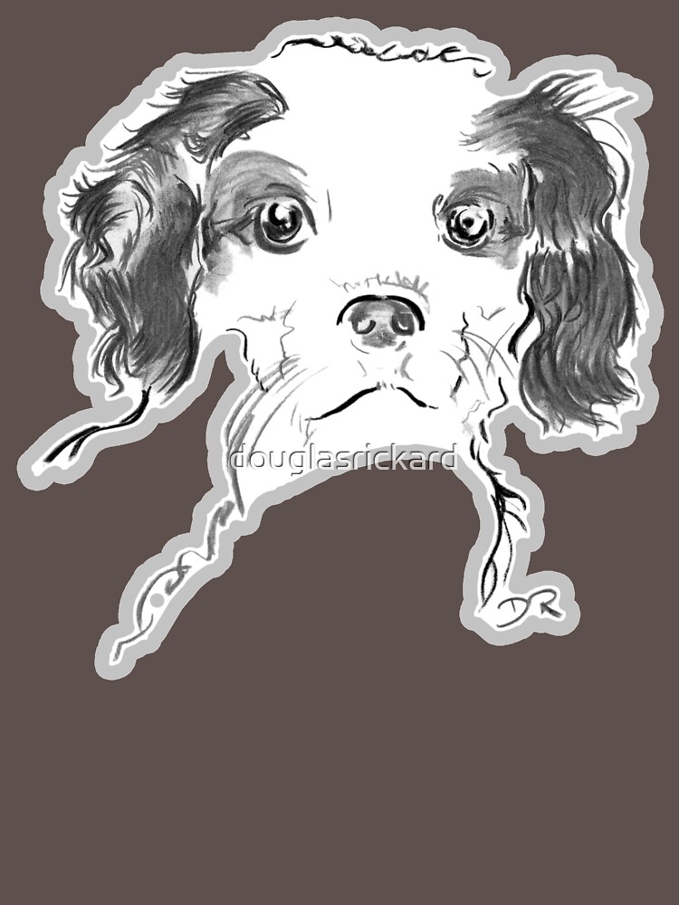 Cavalier King Charles Spaniel Puppy Drawing by douglasrickard