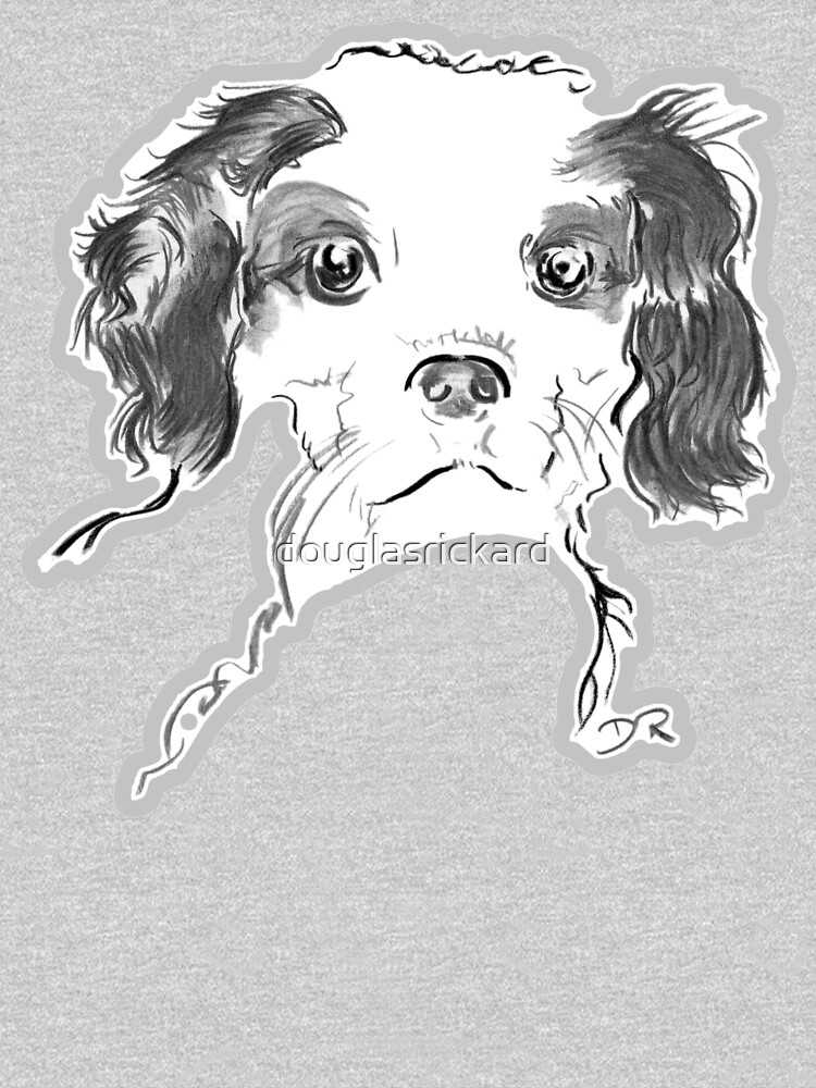 Cavalier King Charles Spaniel Puppy Drawing by douglasrickard