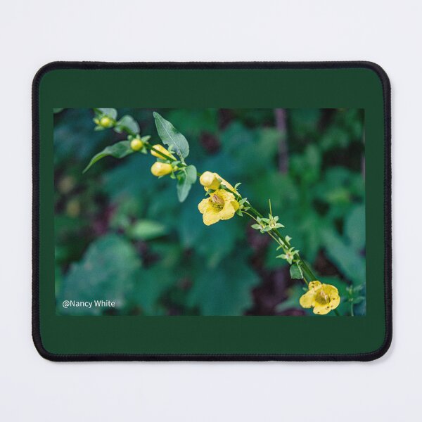 Item preview, Appalachian Trail designed and sold by NannyGoat15.