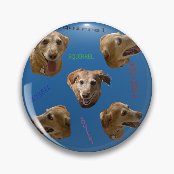 Item preview, Squirrel!! designed and sold by DentistArt2022.