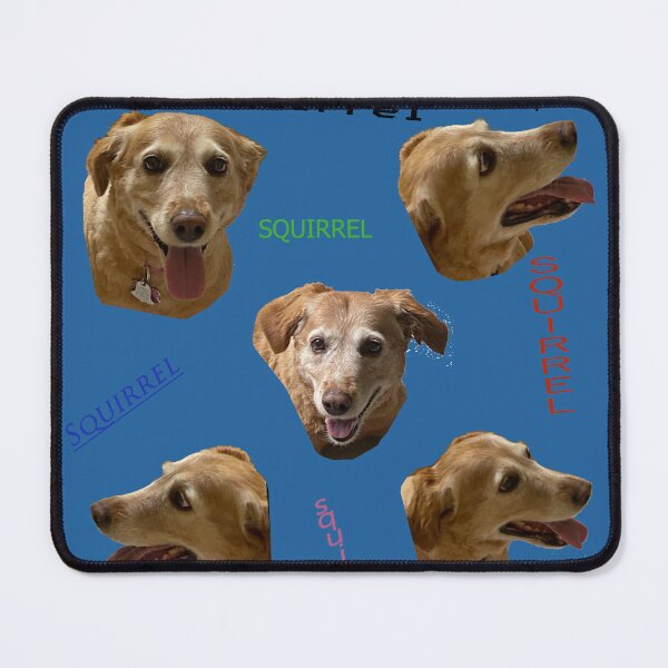 Item preview, Squirrel!! designed and sold by DentistArt2022.