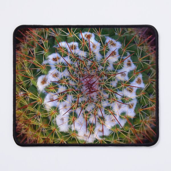 Item preview, Cactus Radiance designed and sold by Vicki Pelham.