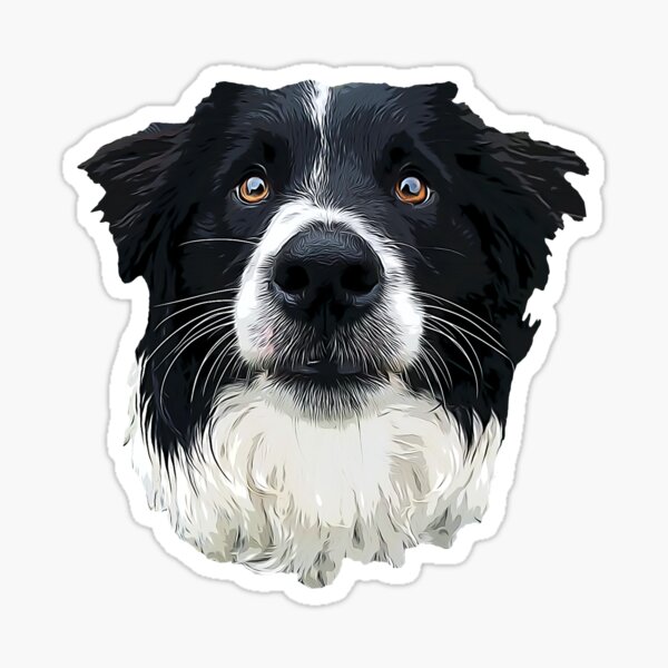 border collie crack car sticker dogs lover – Camellia Print