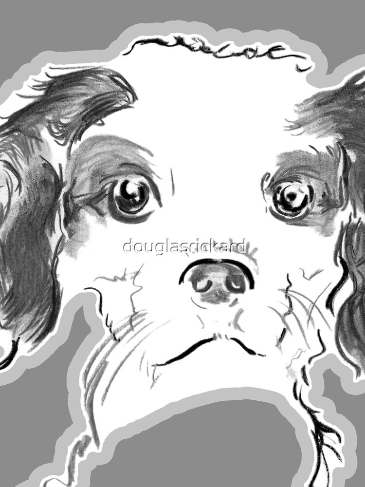 Cavalier King Charles Spaniel Puppy Drawing by douglasrickard