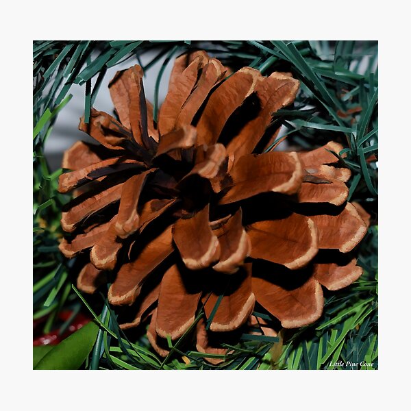 Item preview, Littel Pine Cone designed and sold by bertsworks300.