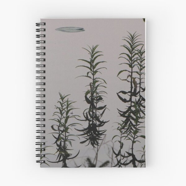 Item preview, Still Life By Lake II designed and sold by ArtOfE.