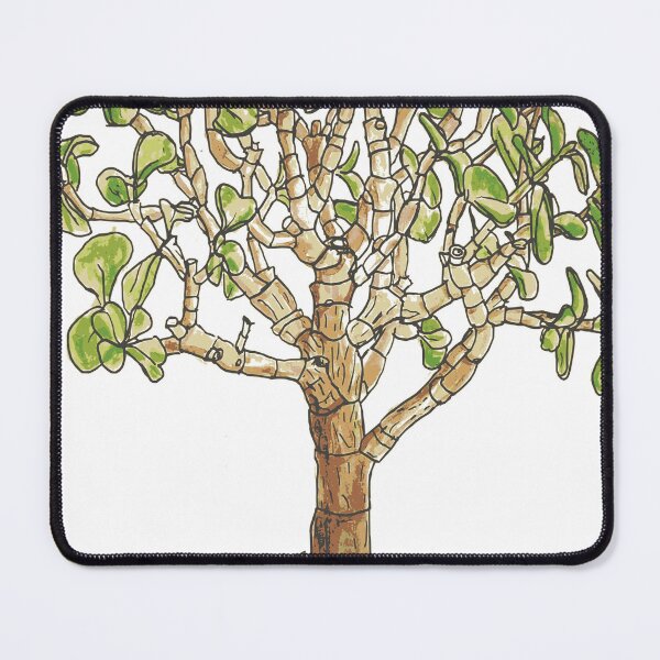 Item preview, Elephant Bush (Portulacaria Afra) designed and sold by Chrothon.