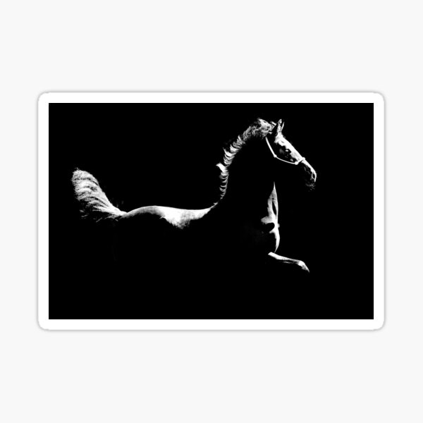 Item preview, Friesian foal I designed and sold by HiddenRockRanch.