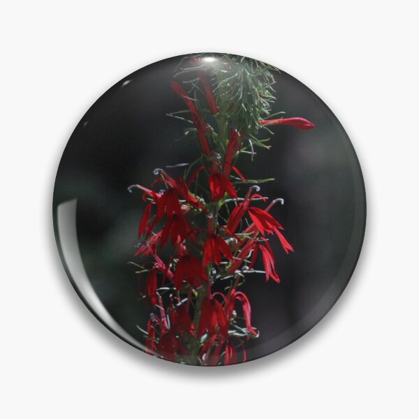 Item preview, Cardinal flower designed and sold by schmidy-botany.