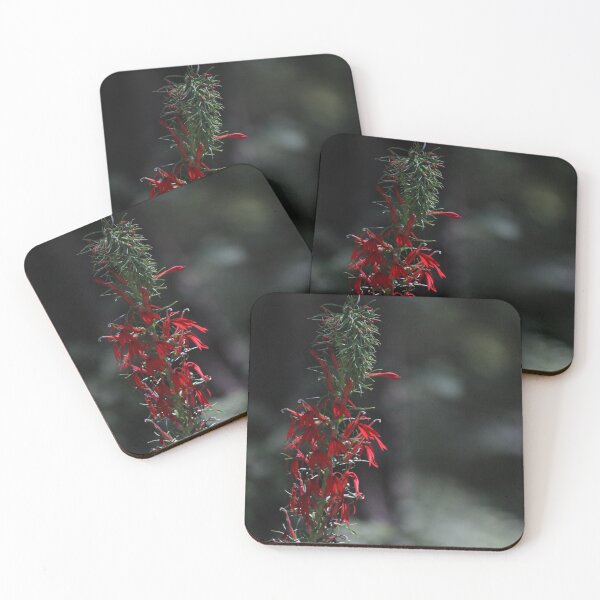 Item preview, Cardinal flower designed and sold by schmidy-botany.