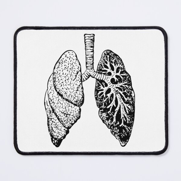 Item preview, Lungs - Body Parts - Anatomy Collection designed and sold by AxiomDragon.