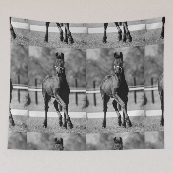 Item preview, Friesian Foal III designed and sold by HiddenRockRanch.