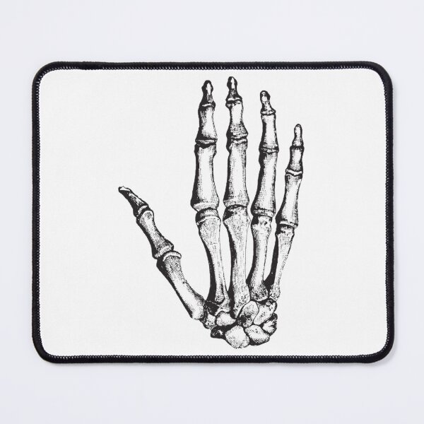 Item preview, Bone Hand - Skeleton - Anatomy Collection designed and sold by AxiomDragon.