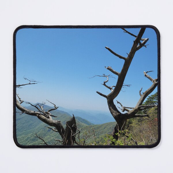 Item preview, The dead tree of Mt. Jirisan, the most famous mountain in Korea. designed and sold by human8891.