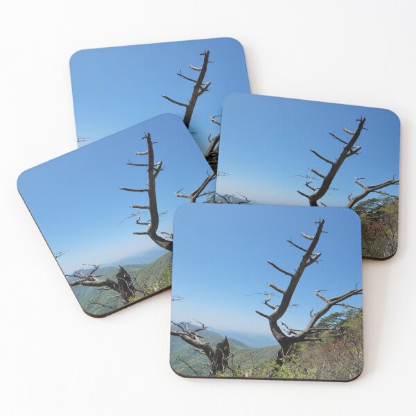 Item preview, The dead tree of  Mt. Jirisan, the most famous mountain in Korea.	 designed and sold by human8891.