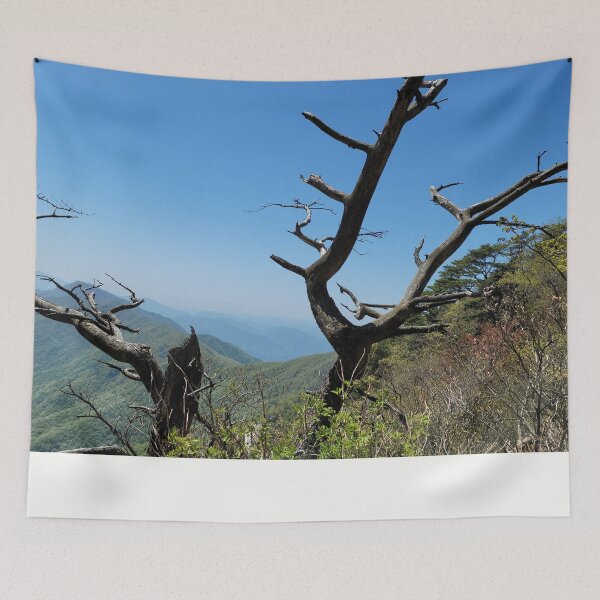 Item preview, The dead tree of  Mt. Jirisan, the most famous mountain in Korea.	 designed and sold by human8891.