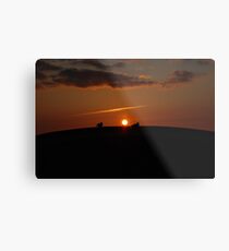 Seagull in sunset Metal Print