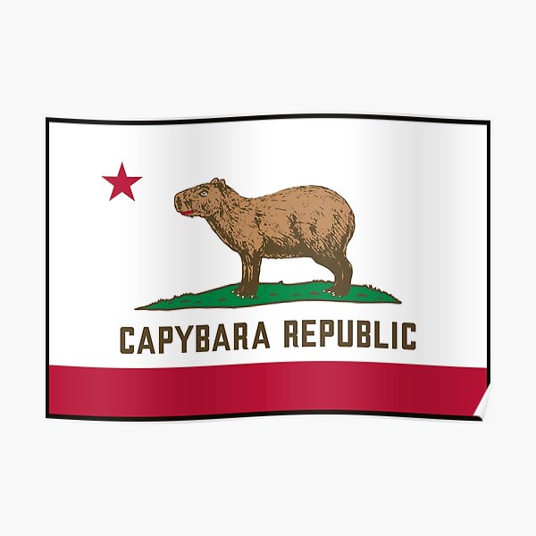 capybara republic