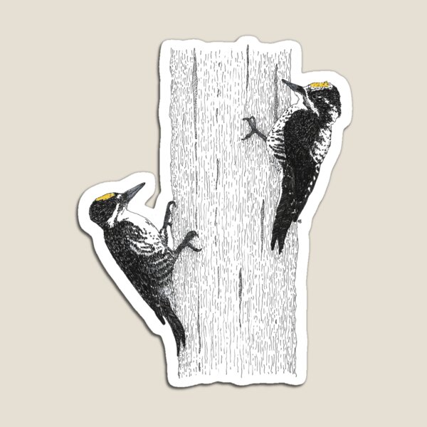 Item preview, American Three-toed and Black-backed Woodpeckers designed and sold by obirdleyart.