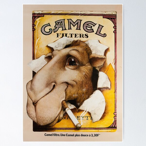 Item preview, Camel Poster designed and sold by Lhadii.