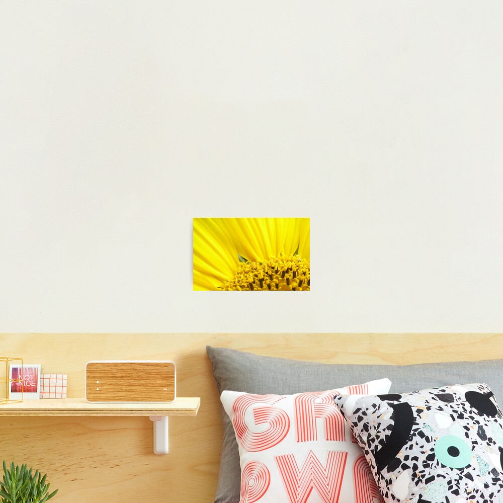 Item preview, Photographic Print designed and sold by Rachem.