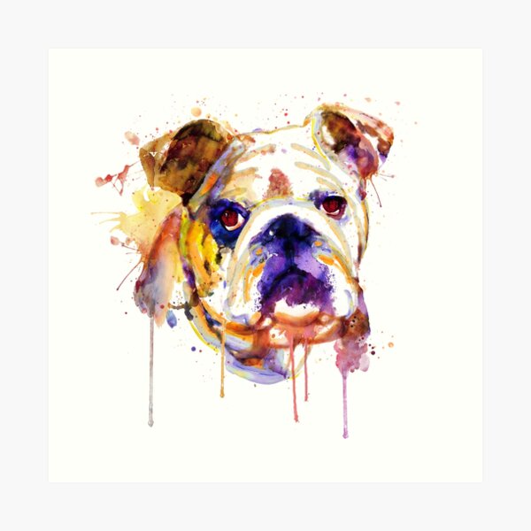 English Bulldog Head Art Print