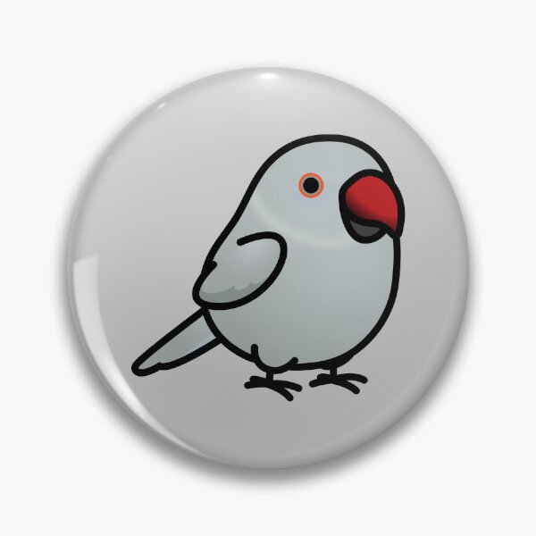 Item preview, Chubby Gray Indian Ringneck Parakeet - Female designed and sold by birdhism.