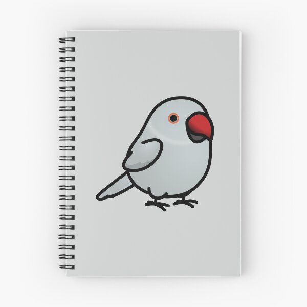 Item preview, Chubby Gray Indian Ringneck Parakeet - Female designed and sold by birdhism.