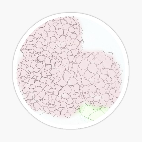 Soft Pink Hydrangea Flowers Sticker