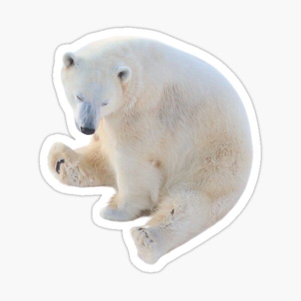 I Love Polar Bear Arctic Animal Ice Bear Lover' Sticker