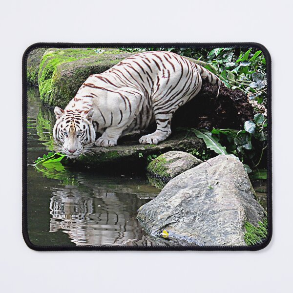 Item preview, White Tiger and Reflection designed and sold by Linda Walsh.