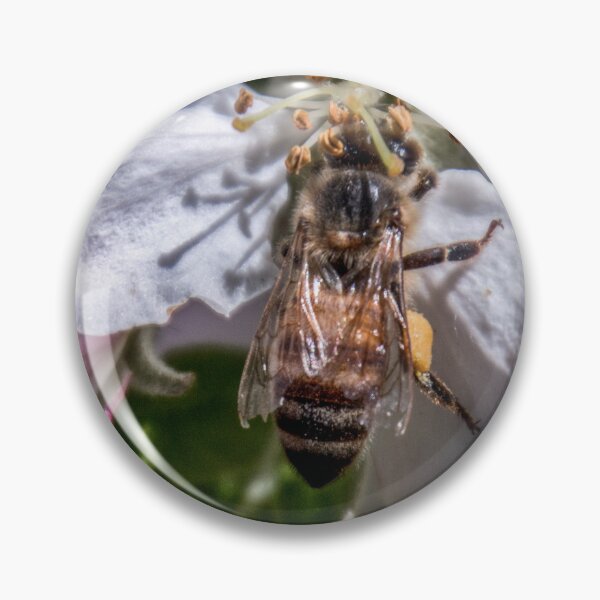 Item preview, Honey bee designed and sold by indiafrankk.