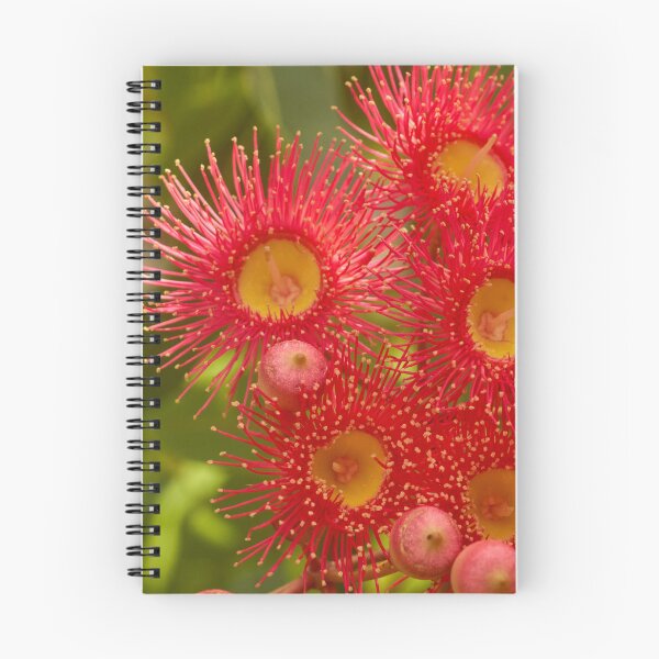 Item preview, A joyous red flower designed and sold by Mrtweety.