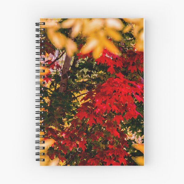 Item preview, Autumn leaves designed and sold by indiafrankk.