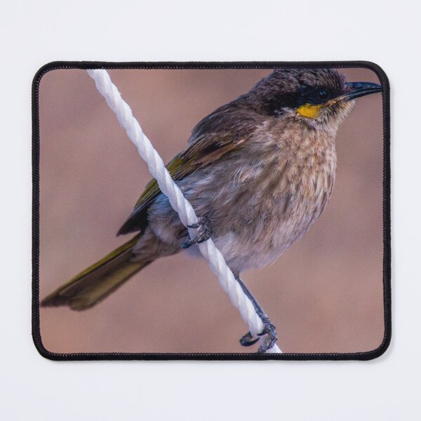 Item preview, Wren at Streaky Bay designed and sold by indiafrankk.