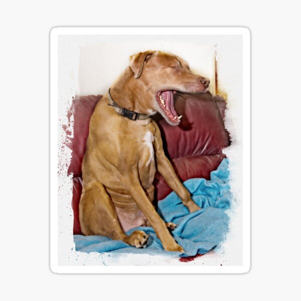 Laughing Dog Sticker