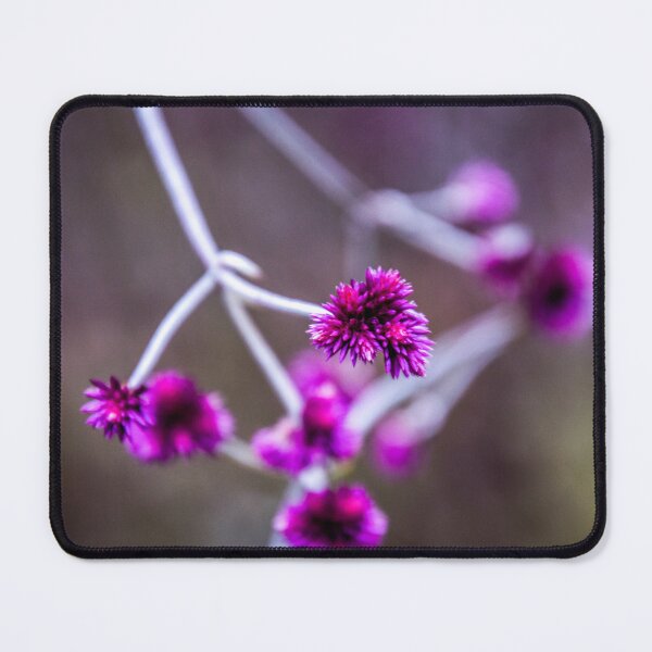 Item preview, globe amaranth designed and sold by indiafrankk.