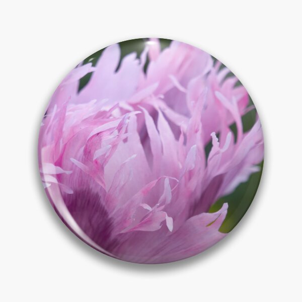 Item preview, Hit by the wind. Poppy designed and sold by Jouko Lehto Photography.