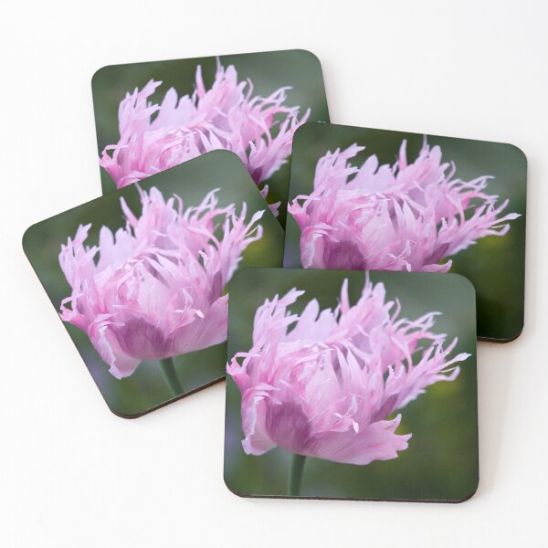 Item preview, Hit by the wind. Poppy designed and sold by Jouko Lehto Photography.