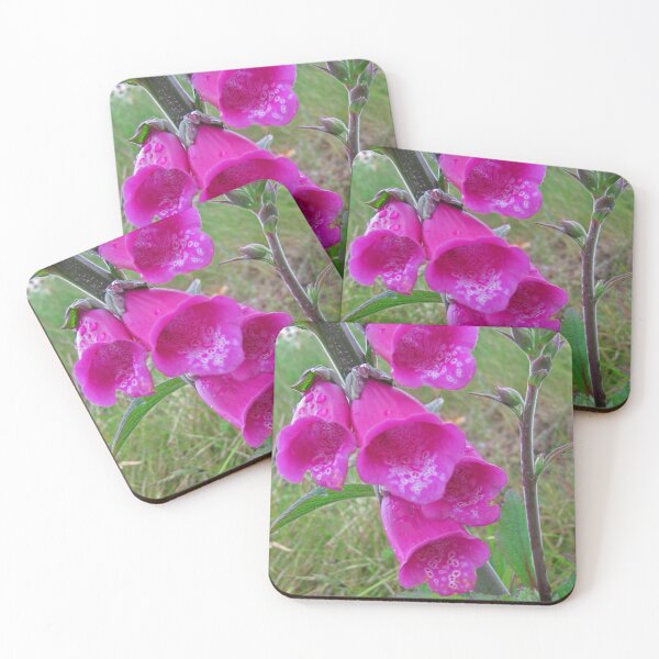 Item preview, Foxglove (Digitalis) designed and sold by RedHillDigital.