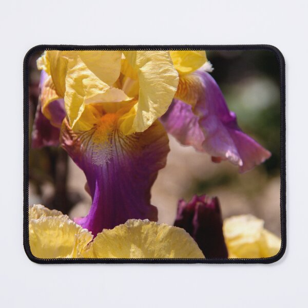 Item preview, Iris designed and sold by indiafrankk.