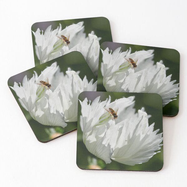 Item preview, Pollunator's point. Poppy designed and sold by Jouko Lehto Photography.